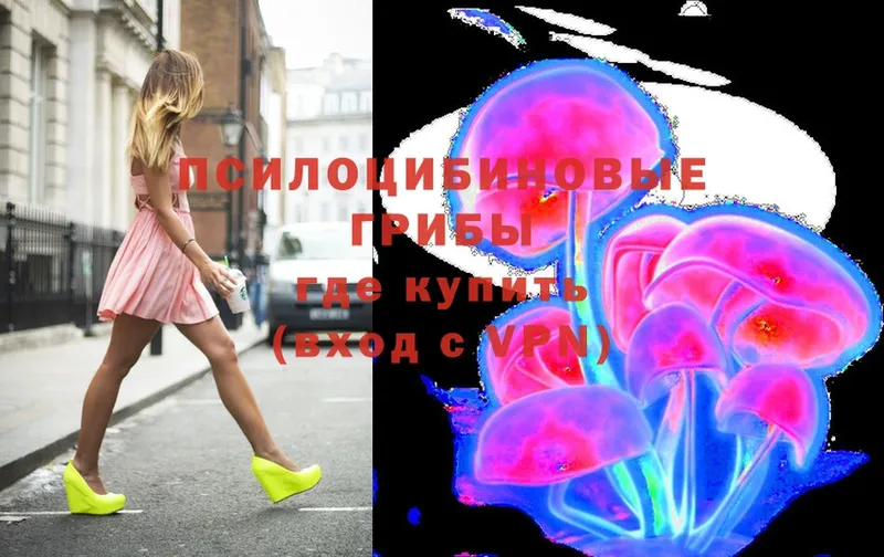 Галлюциногенные грибы Magic Shrooms  купить  цена  Выборг 